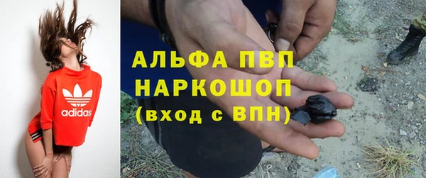 MESCALINE Елизово