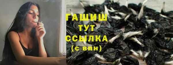 гидра Дмитриев