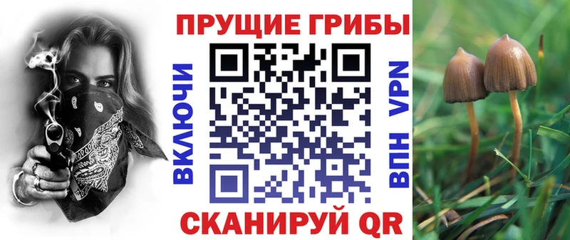 Галлюциногенные грибы прущие грибы  Купить  Новый Оскол 